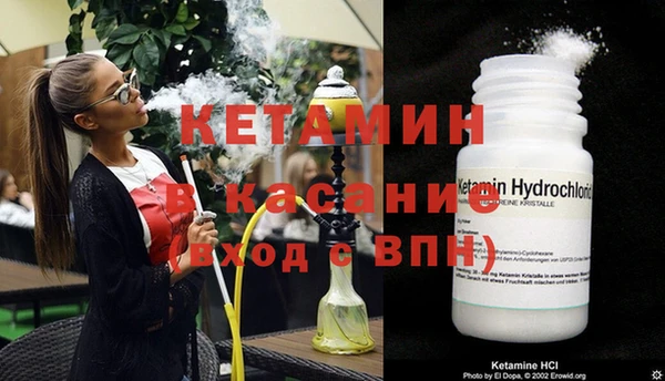 сатива Абаза
