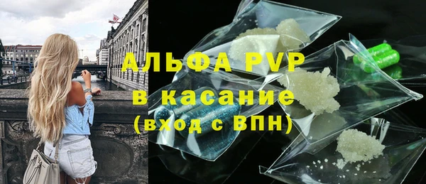 сатива Абаза