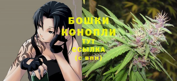 СК Ельня
