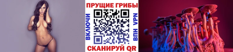 Псилоцибиновые грибы MAGIC MUSHROOMS  blacksprut ссылка  Искитим 