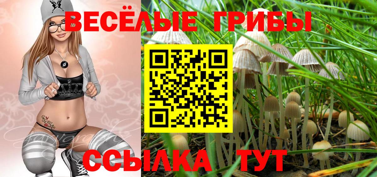 Псилоцибиновые грибы Psilocybe Искитим