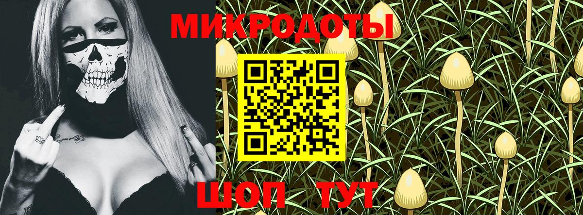 Искитим  Псилоцибиновые грибы прущие грибы  Вход с VPN 